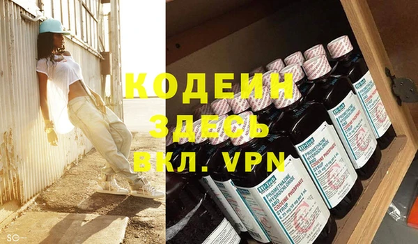 дживик Заводоуковск