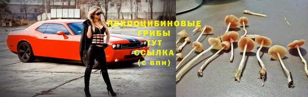дживик Заводоуковск