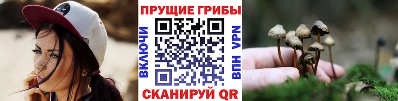Купить где  Барнаул  Галлюциногенные грибы ЛСД 